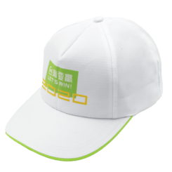 蔡英文-競選帽<div>型號：M00022